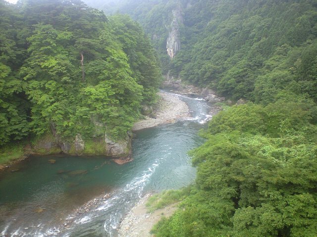 ca3a0904.jpg