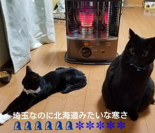 Fotor_151711494194184.jpg