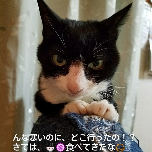 Fotor_151711506561979.jpg