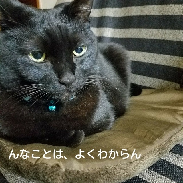 Fotor_151711732634810.jpg
